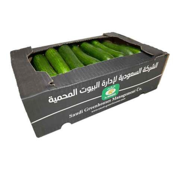 Al Rasheed Cucumber Saudi Arabia 2.7kg