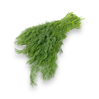 الدانوب شبت 1حزمة