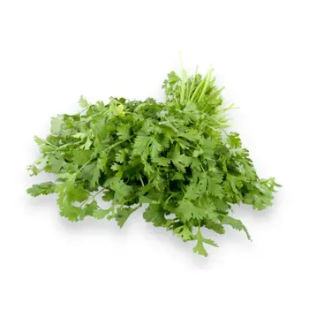 الدانوب كزبرة 1حزمة