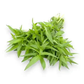 الدانوب حبق 1حزمة