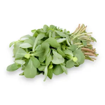 الدانوب رجلة 1حزمة