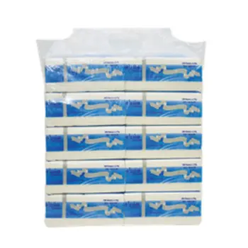 Sendian 2-Ply Tissue 10x200 Pieces