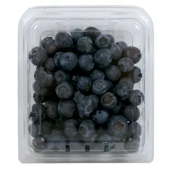 دريسكولز توت أزرق 170جرام