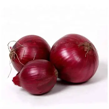 بصل احمر 1كيلو