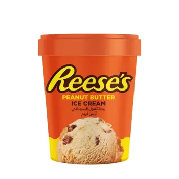 Reeses' Peanute Butter Ice Cream Tub 450Ml
