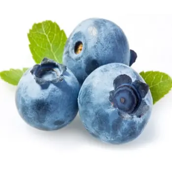 Fresh Blueberries 1kg