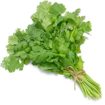 Coriander Loose Fresh