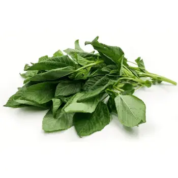 Mallow Green Local 1 Bunch