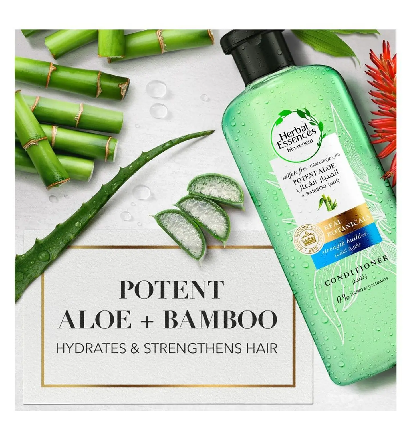 aloe vera gel hydrating Aloe Vera Gel | Pure and Natural