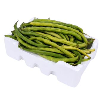 الدانوب فاصوليا خضراء صحن 1قطعة