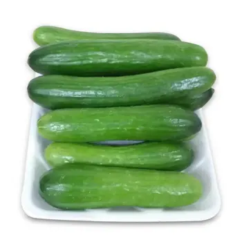 ساك خيار بصحن فلين 850جرام