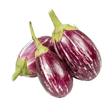Fresh Purple Eggplant 1kg