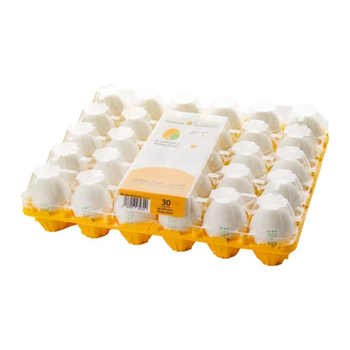 Alfailaq Fresh Large White Eggs 30 Pieces