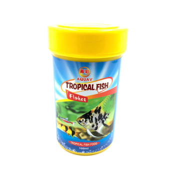 فني بيتس اكل سمك ملون 1قطعة