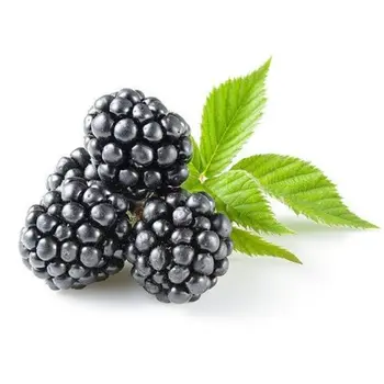 Fresh Blackberries 1kg