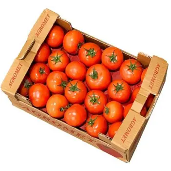 طماطم 1صندوق