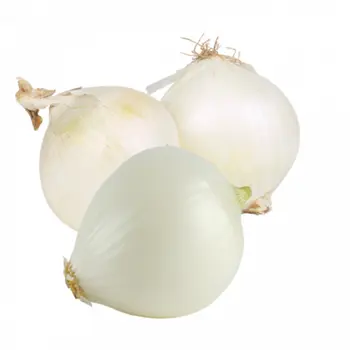 بصل ابيض 1كيلو