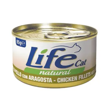 لايف كات اكل قطط رطب دجاج مع لوبستر 85 جرام