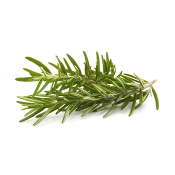 Fresh Rosemary Loose