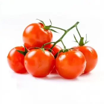 Organic Premium Cherry Plum Tomatoes 1 Piece