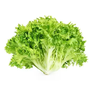 Lettuce Frisee 400g