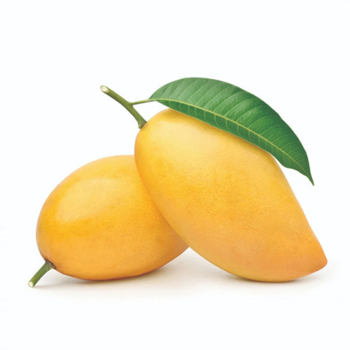 Fresh Mango 1kg