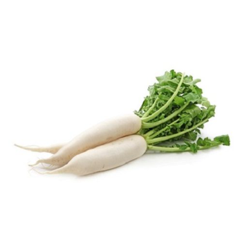 فجل ابيض 1حزمة