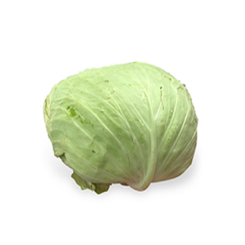 ملفوف محشي 1حبة