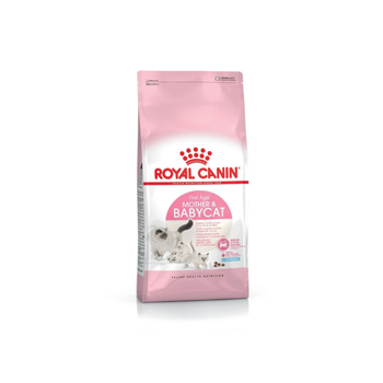 رويال كانين طعام القطط للام والطفل 14 شهور 10 كيلو