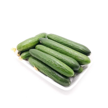 Fresh Cucumber 500g