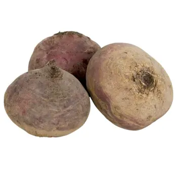 الدانوب بنجر ٩٠٠جرام