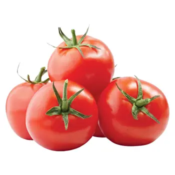 Fresh Green House Tomato 1kg