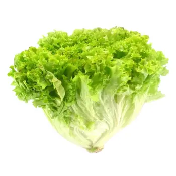 ساك لولو بيوندا خس 1حزمة