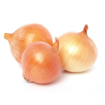 Golden Onion 1kg