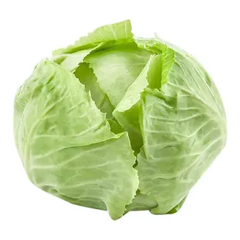 ملفوف اخضر بلدي