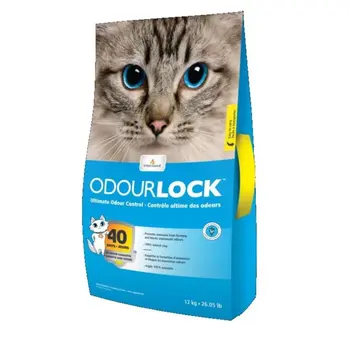 Intersand Odourlock Unscented Cat Litter 12kg