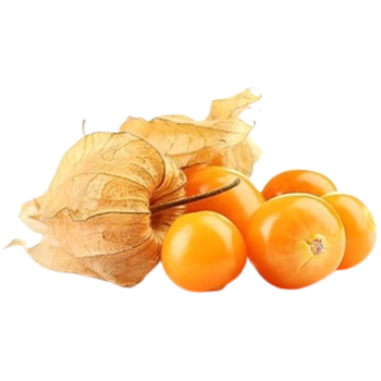Physali 100g