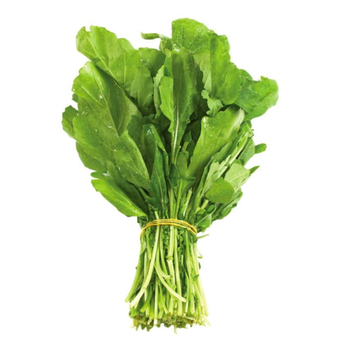 Fresh Rocca Local 1 Piece