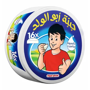 Regal Picon Triangle Portions Cheese 16×240g