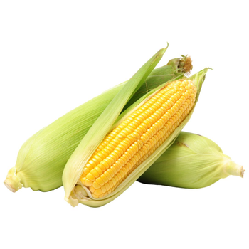 Sweet Corn 500g