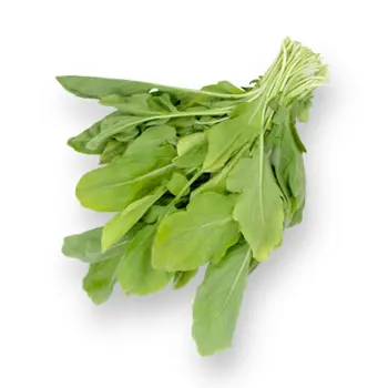 الدانوب سلق 1حزمة