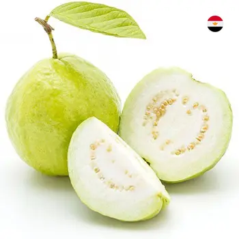 امداد جوافة مصر 500جرام