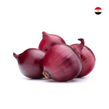 Three Sanabel Red Onion Egypt 500g