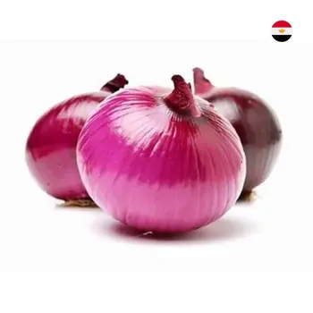 Red Onion Egypt 1 Kg - Gulf Fruit