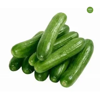 Cucumber Local 1 Kg - Gulf Fruit