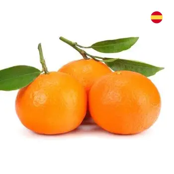 Gulf Fruit Mandarine Spain 1Kg
