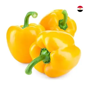 Gulf Fruit Yellow Capsicum Egypt 1Kg