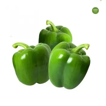 Gulf Fruit Capsicum Green Local 500 Gm