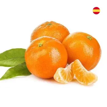 Gulf Fruit Mandarine Spain 500g