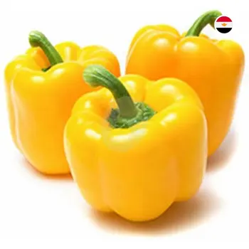 ثمار الخليج فلفل  مصري 500 جرام